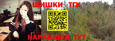 спиды Обь